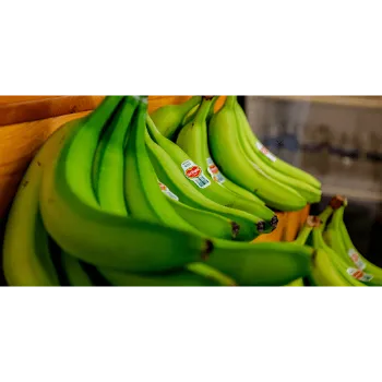 Natural Green Banana 